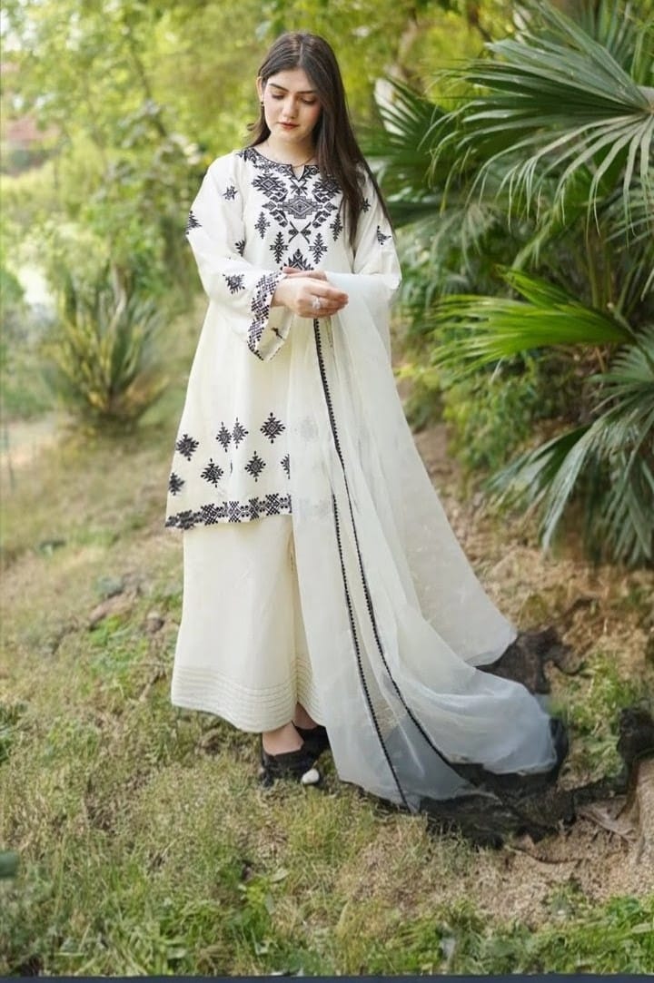 Dhanak neir embroidery stitch suits 2pcs